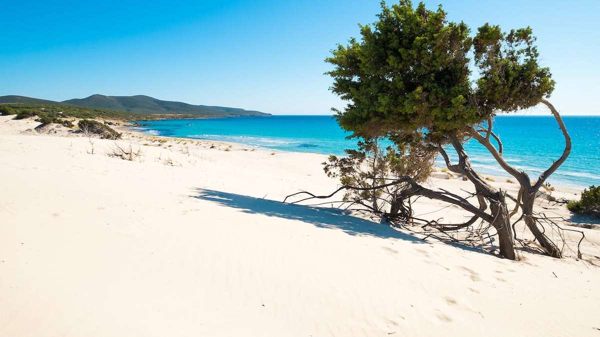 Porto Pino